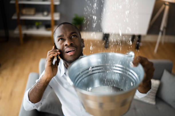 Best Water damage contractors near me  in Grand Blanc, MI