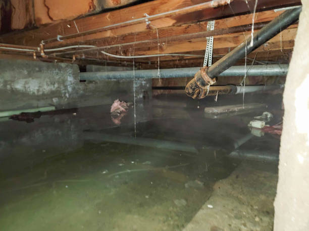 Water damage restoration insurance claims in Grand Blanc, MI