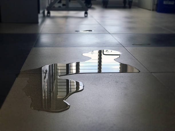 Best Water damage restoration insurance claims  in Grand Blanc, MI