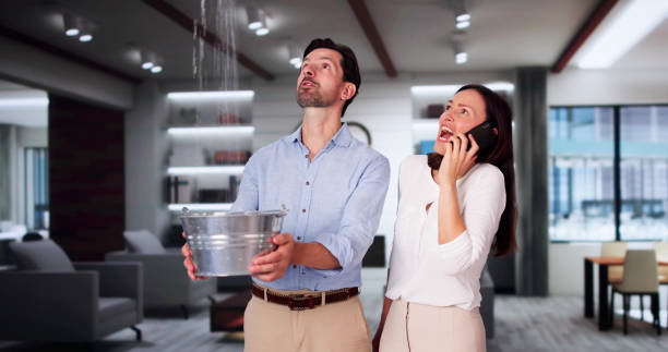 Best Fire Damage Restoration  in Grand Blanc, MI